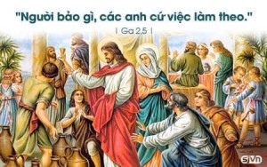 Ngày 19-06-2020 Đức Tổng Giám mục Giuse sẽ phong chức Linh mục cho Thầy phó tế Giuse Lê Hoàng Tuấn