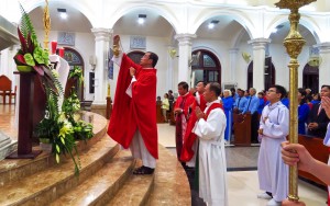 KÍNH TRỌNG THỂ CÁC THÁNH TỬ ĐẠO VIỆT NAM - MỪNG BỔN MẠNG HỘI ĐỒNG MỤC VỤ GIÁO XỨ