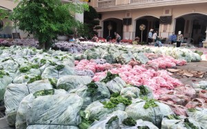 Cứ yêu đi rồi làm gì thì làm