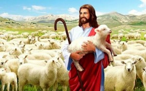 Thông báo về việc giải tội tập thể trong Mùa Vọng 2021.